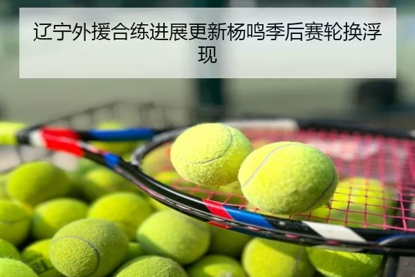 辽宁外援合练进展更新杨鸣季后赛轮换浮现
